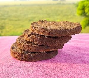 Cow Dung Cake