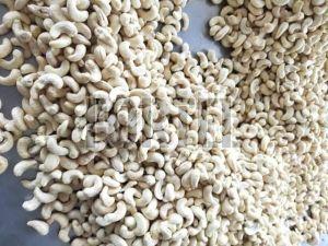 Fresh Shelled Cashew Nuts