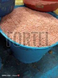 High-Protein Red Lentils for Vegan and Vegetarian Diets