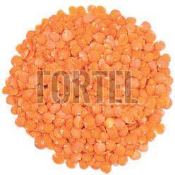 High-Protein Red Lentils for Vegan and Vegetarian Diets