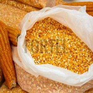 Premium Yellow Corn