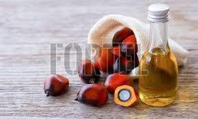 palm oil