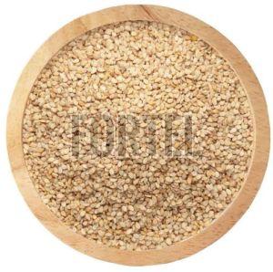 Premium Hulled Sesame Seeds