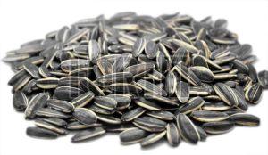 sunflower seeds