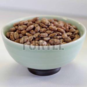 Top Grade Pinto Beans