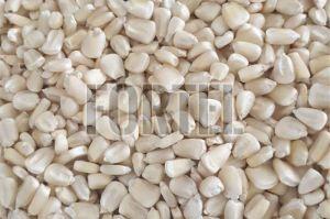 Top-Quality White Maize Corn - Ideal For Export &AMP;AMP; Nutrient-Dense Food Products