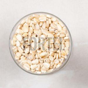 Top-Quality White Maize Corn - Ideal For Export &AMP;AMP; Nutrient-Dense Food Products