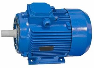 0.5 HP Single Phase Induction Electric Motor