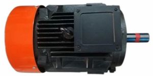 15 HP Three Phase Heavy Load Induction Motor