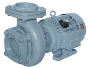 3 HP High Discharge Monobloc Pump