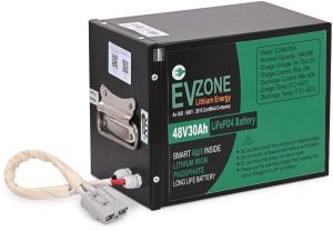 48V 30 Ah E-Scooty Lithium Battery
