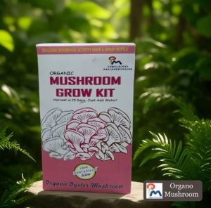 Organic Mushroom Growing Kit