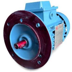 2 Pole Flange Mounting Motor