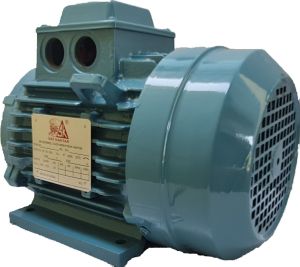 3hp Three Phase Foot Mounted Motor