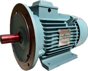 Foot Cum Flange Mounting Motor