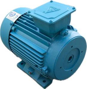 Vertical Hollow Shaft Motor