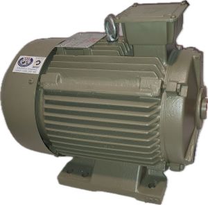 10hp Three Phase Foot Mounted Motor