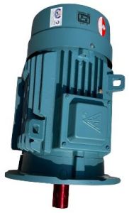 Foot Cum Flange Mounting Motor