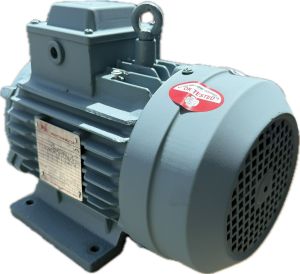 5hp Three Phase Foot Mounted Motor