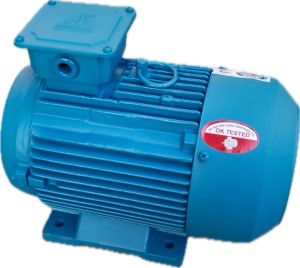 Vertical Hollow Shaft Motor