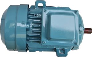 3hp Three Phase Foot Mounted Motor