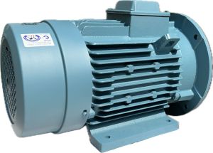Foot Cum Flange Mounting Motor