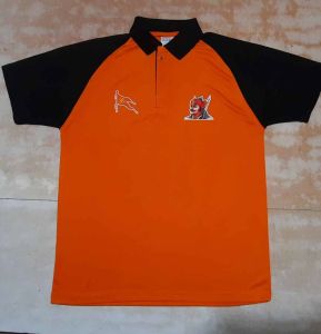 V Neck Men Promotional T Shirt