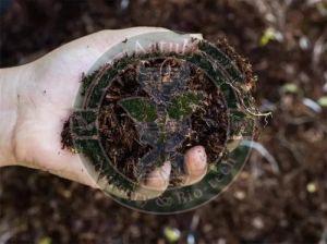 Organic Fertilizers and Manure