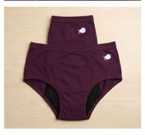 Reusable Period Panty