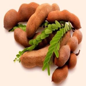Tamarind