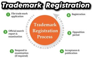 Trademark Search Services