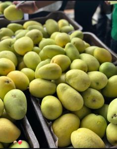 Fresh Mango