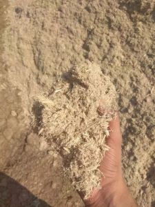 Agro Sugarcane Bagasse