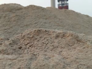 Agro Sugarcane Bagasse