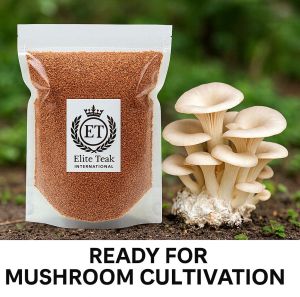 Wood Sawdust Powder