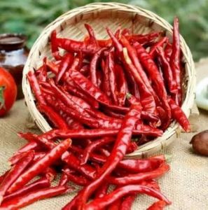 Dried Red Chili