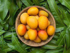 Fresh Mango