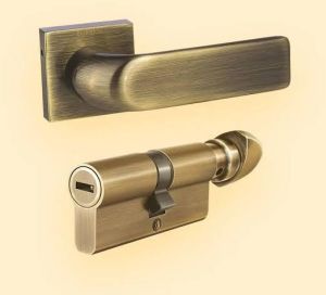 Rose Mortise Handles and Cylinder