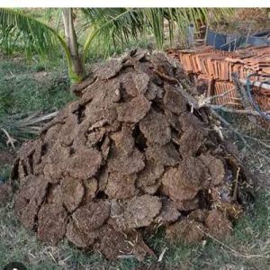 Cow Dung Cake