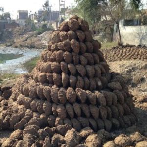 Cow Dung Cake