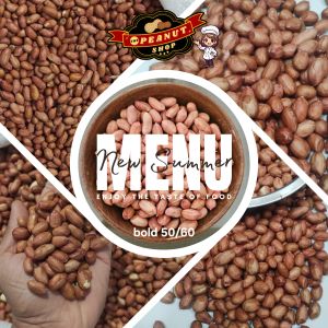 Roasted Blanched Peanut