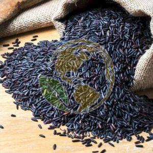 Indian Black Rice
