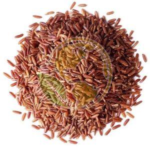 Organic Red Rice