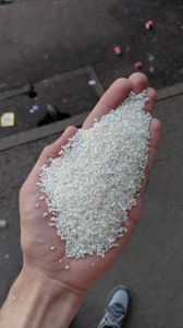 Broken Rice