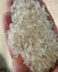 IR 64 Parboiled Rice