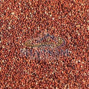 Finger Millet Seeds