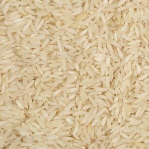 Premium Quality Kali Mooch Rice