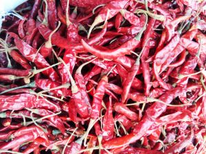 Dry Red Chilli