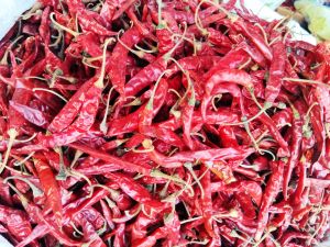 Dry Red Chilli