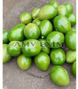 Fresh Avocado